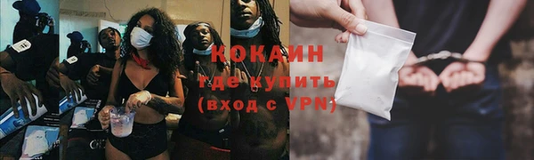 дмт Осинники