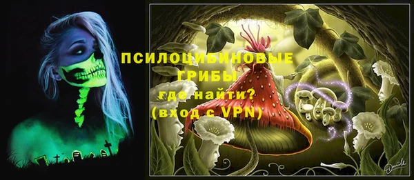 дмт Осинники