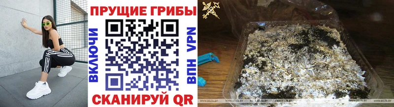 Галлюциногенные грибы прущие грибы  где купить   Баймак 